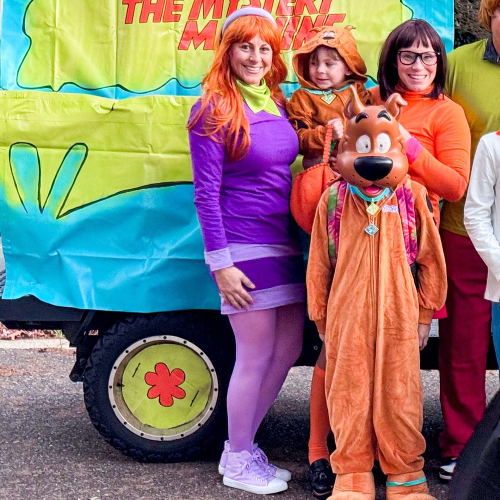 Daphne Scooby Doo Purple Women's Costume - Wig, Headband, Dress, Scarf, Tights S - Picture 5 of 5